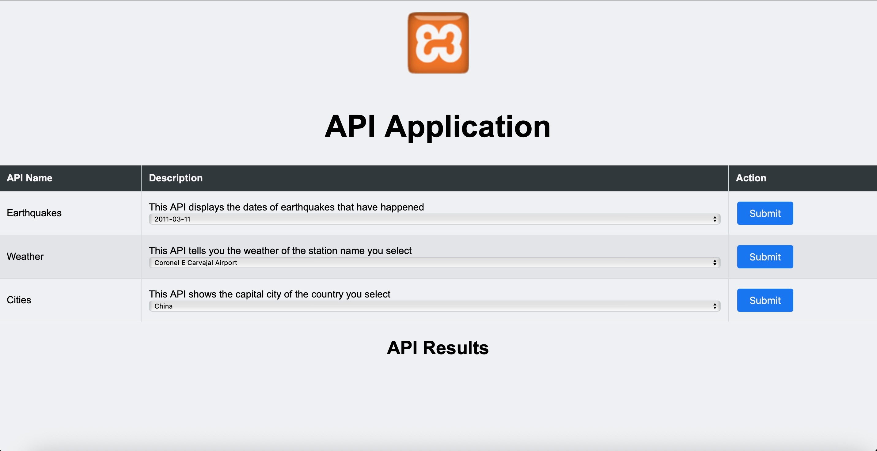 API Testing Application Screenshot